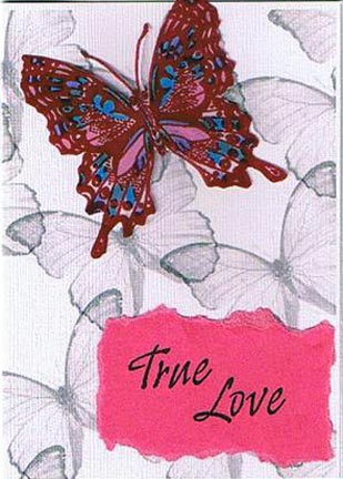 Butterfly True Love (2). Comments: pink card w/Meda's background, 