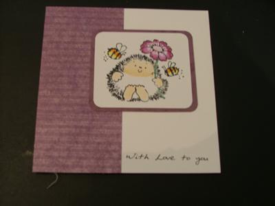 Cute Hedgehog Card