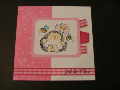 Cute Hedgehog Card