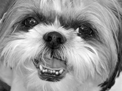 I am sorry to hear that life has been 